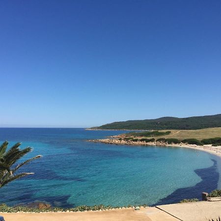 Ajaccio Magnifique T2 45M2 Neuf 5 Personnes Clim Wifi Stationnement Gratuit Centre Ville Plage A 300M Kültér fotó